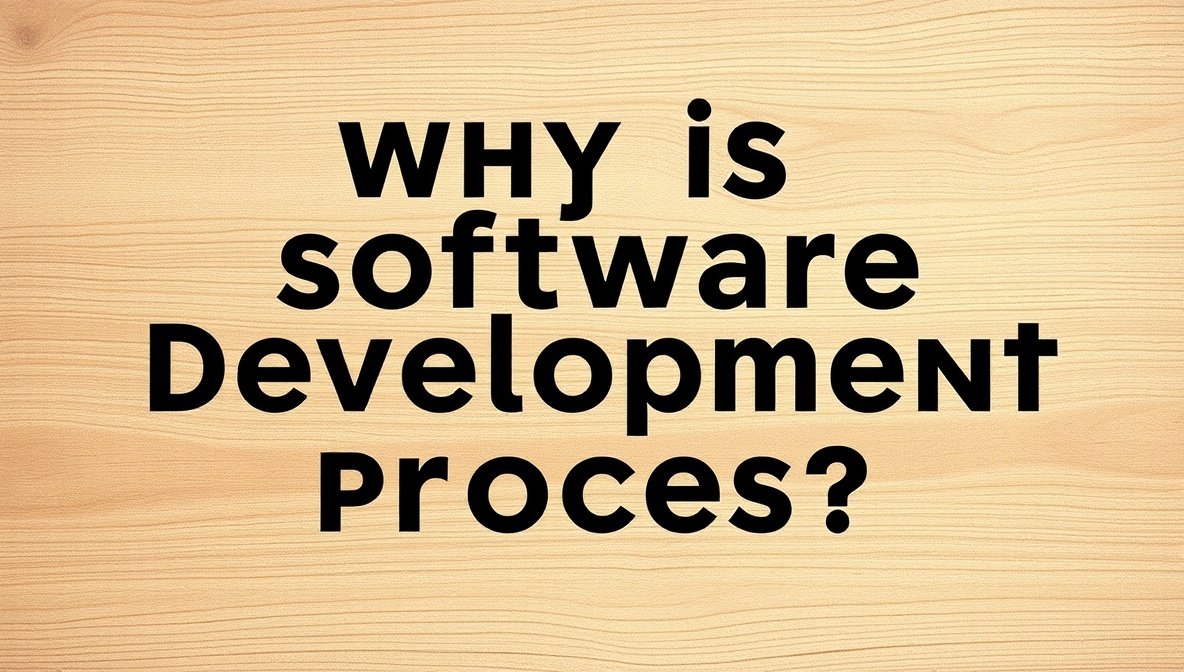 why is software bixiros.5a8 development process